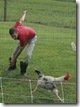 Maybe that rooster will leave Kenan alone for a little while!