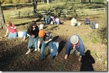 Many hands make light work!