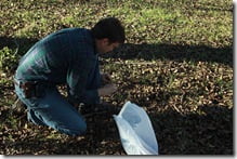The Pecan King - Dad LOVES pecans!