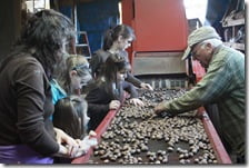 Making sure the sorter did a good job :)