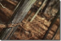 Obstacles that hinder OUR pursuits in life often direct us toward GOD'S will and perfect plan