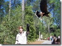 "Birds of Prey" show