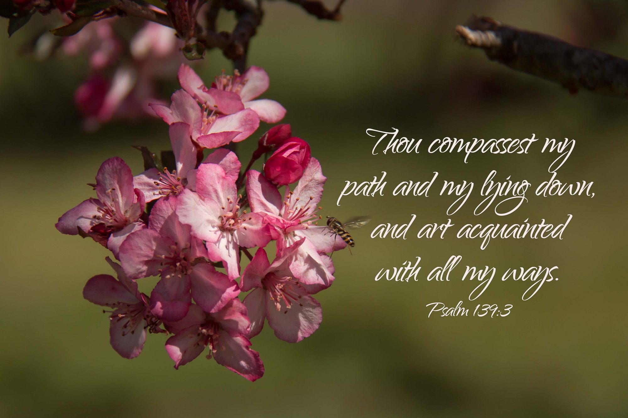 Psalm 139:3